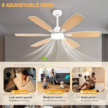 Aya⭐️ Amazon.com: Ayaoty Ceiling Fans with Lights, 52 Inch Ceiling